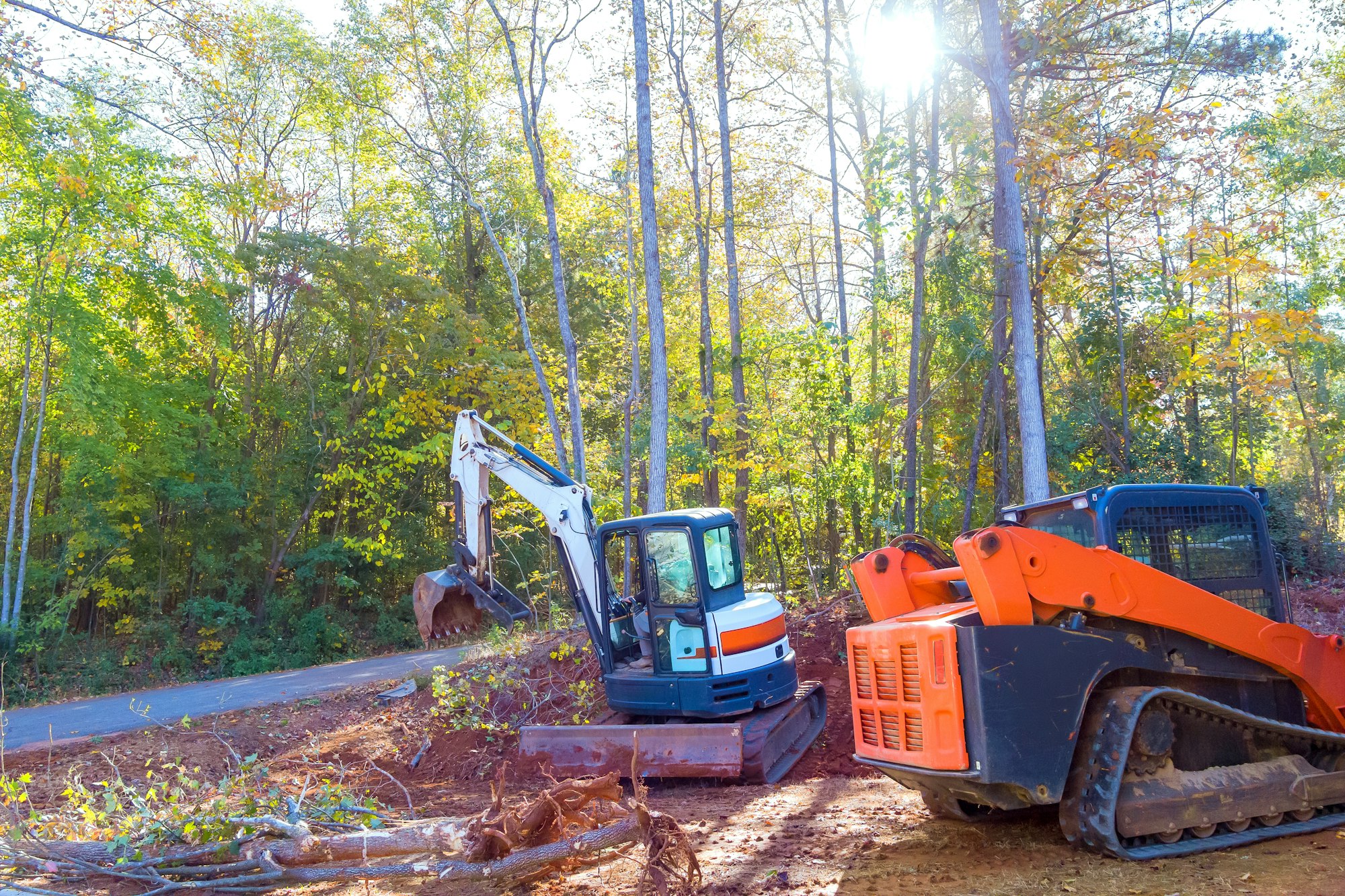 An uprooted tree is uprooted by a tractor during construction, preparing land for building